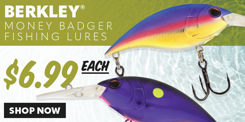 Berkley - Money Badgers